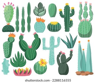 Set of different cacti and succulents on white background