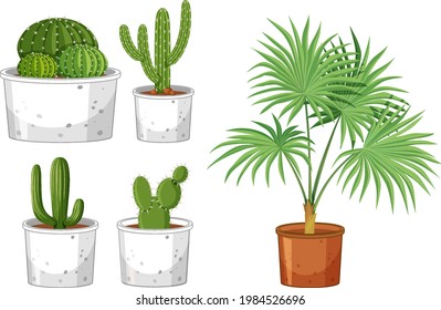 Set of different cactus in pot on white background illustration