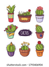 Set with different cactuses, home plants. Decorative potted house plants and flowers. For web, mobile and infographics. Colorful sketch cartoon vector illustration isolated on white background. 