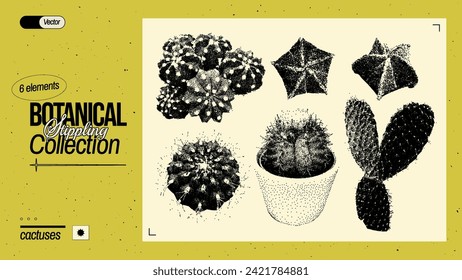 Conjunto de diferentes cactus. Elementos vegetales de época con efecto fotocopia granulado. Pegar pegatinas punteadas con efecto de endurecimiento. Ilustración vectorial.