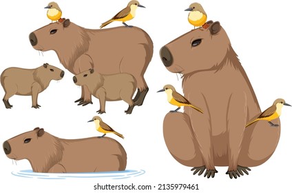 Set of different capybara in cartoon style illustration