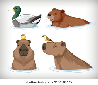 Set of different capybara in cartoon style illustration