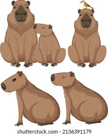 Set of different capybara in cartoon style illustration