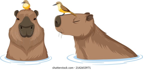 Set of different capybara in cartoon style illustration