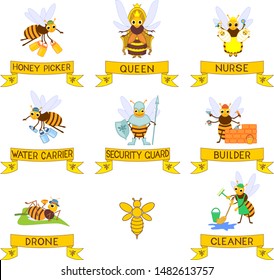 Set of different cartoon bee social castes with titles isolated on white background