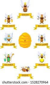 Set of different cartoon bee social castes with titles isolated on white background