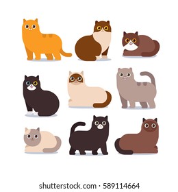 Set of different cartoon cats.Vector illustration isolated on white background