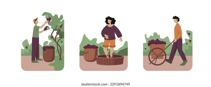Set of different cartoon characters of young people manufacturing organic wine. Process of growing organic grapes to make alcohol drinks. Time for vinification. Vector