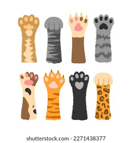 Set of different cartoon colored cat paws. Vector illustration isolated in white background.