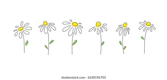 A set of different cartoon daisies isolated on a white background, hand-drawn with a line, vector illustration. Wild wildflower, simple contour drawing, sketch. A botanical summer flowering element