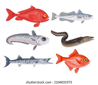 Set of different cartoon fish on white background. Seafood collection. Vector illustration.