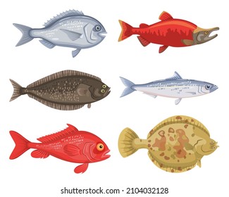 Set of different cartoon fish on white background. Seafood collection. Vector illustration.