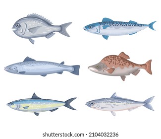 Set of different cartoon fish on a white background. Seafood collection. Vector illustration.