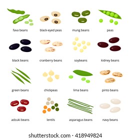 Set of different cartoon legumes isolated on white background. Kidney, lima, navy, black, cranberry, asparagus, adzuki, pinto, soy, mung, green beans, peas, chickpeas, lentils.