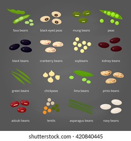 Set of different cartoon legumes on chalkboard background. Kidney, lima, navy, black, cranberry, asparagus, adzuki, pinto, soy, mung, green beans, peas, chickpeas, lentils.