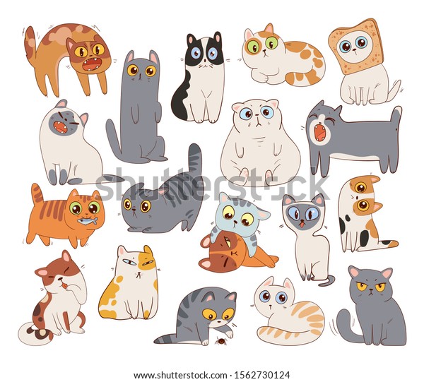 Set Of Different Cat Breeds Funny Cartoon Character Vector Illustration Isolated On White