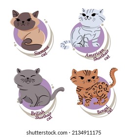 A set of different cat breeds on a white background in a simple style. Cute Bengal, British, American and Siamese cats