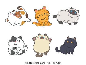 Set of different cat breeds in different poses, Isolated on white background. Character design. Vector illustration, Cartoon doodle style.