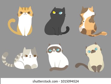 Set of different cats breeds in different poses on grey background. Vector illustration character design. 