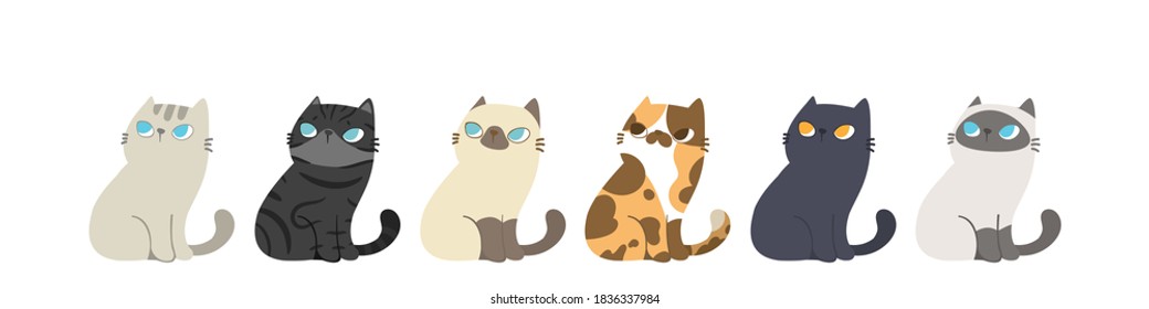 Set of different cats breeds in the same poses, Isolated on white background. Character design. Vector illustration, Cartoon doodle style.