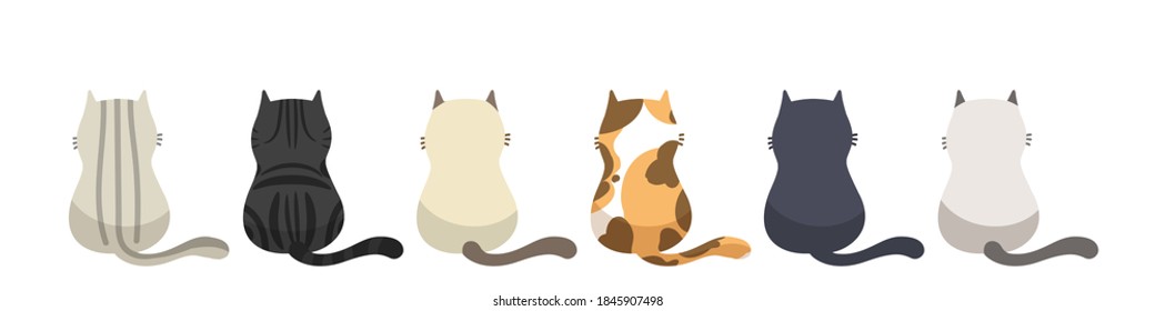 Set of different cats breeds in the same poses, Isolated on white background. Character design. Vector illustration, Cartoon doodle style.