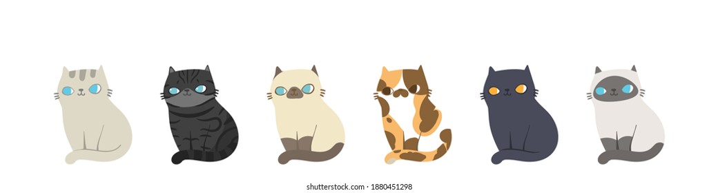 Set Different Cats Breeds Different Poses Stock Vector (Royalty Free ...