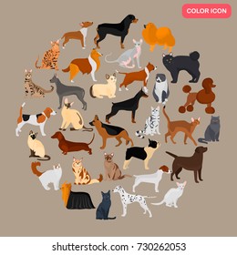 Set of different cats and dogs breeds color flat icons