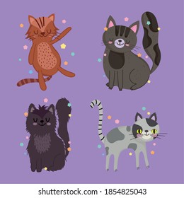 set of different cats pet animal cartoon violet background vector illustration