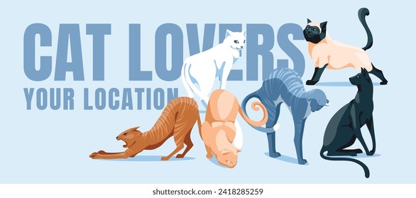 Set of different cats. Veterinary poster or pet food shop design. Vector flat illustration.