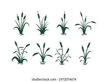 set of different cattail silhouette vector