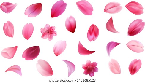 Set of different chaotic sakura petals. Cherry blossom concept.