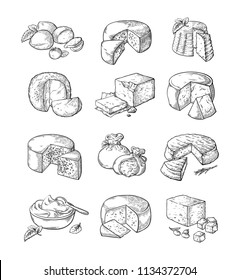 set of different cheese Vector illustration collection