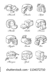 set of different cheese Vector illustration collection