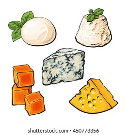 Set of different cheeses mozarella, cheddar, Roquefort, camembert and maasdam isolated sketch style vector illustration on white background. Various sorts of delicious hard and soft cheese