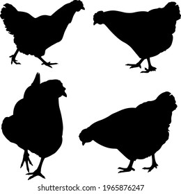 set of different chicken silhouettes