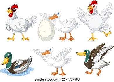 Set of different chickens cartoon character illustration