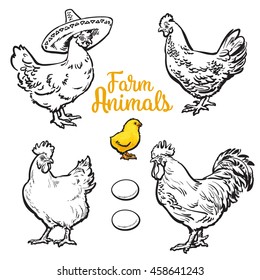 Set of different chickens, vector sketch hand-drawn illustration isolated on white background. three hens, rooster chick and different eggs. chicken sombrerro. bird family