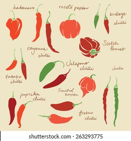 Set of different chili peppers vector set