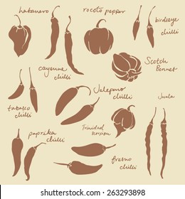 Set of different chili peppers vector set