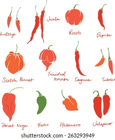 Set of different chili peppers vector doodle set