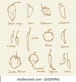 Set of different chili peppers vector doodle set