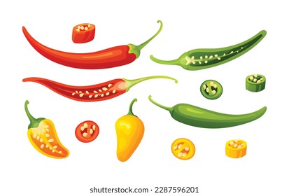 Set of different chilies whole, half and cut slices illustration isolated on white background