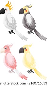 Set of different cockatiel birds in cartoon style illustration