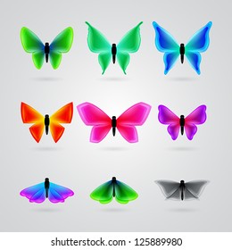 set of different color butterfly