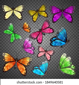 Set of different color butterfly on transparent background illustration