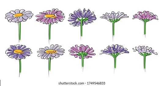 Set of different color chamomiles, colored hand-drawn sketch on white background