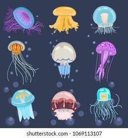 Set of different color flat jellyfish icons