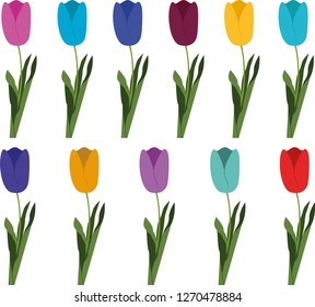 Set of different color tulips isolated on white background