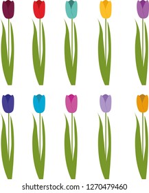 Set of different color tulips isolated on white background
