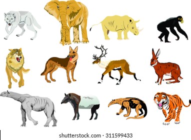 Set Different Wild Animals Vector Illustration Stock Vector (Royalty ...